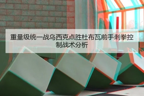 重量级统一战乌西克点胜杜布瓦前手刺拳控制战术分析 | hth