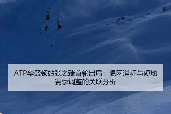 hua-sheng-dun-zhan-zhang-zhi-zhen-shou-lun-chu-ju-wen-wang-xiao-hao-yu-ying-di-sai-ji-tiao-zheng-de-guan-lian-fen-xi-3-531.jpg